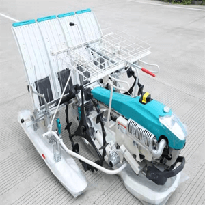 Rice Transplanter(CF-T005)