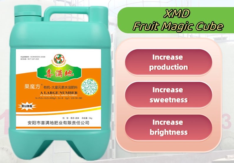 XMD Fruit Magic Cube