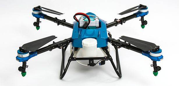 Free eagle Mini